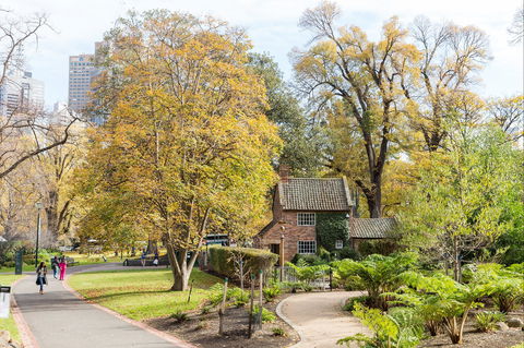 Cooks' Cottage - Surfers Gold Coast 1