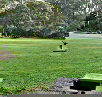 Cottonwood Glen Picnic Area - Surfers Gold Coast