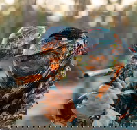 Echuca Paintball Games - Surfers Gold Coast