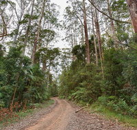 End Peak walking track - Surfers Gold Coast