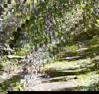 Euglah Rock Walking Track - Surfers Gold Coast