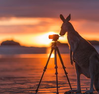 Explore the Mackay Region in Three Days - Surfers Gold Coast