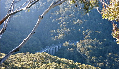 Forest Walk To Sublime Point Track - Surfers Gold Coast 0