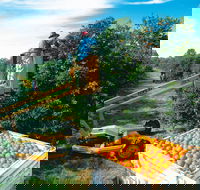 Gayndah's Big Orange - Surfers Gold Coast