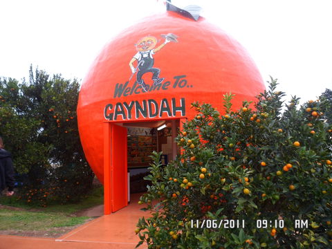 Gayndah's Big Orange - Surfers Gold Coast 2