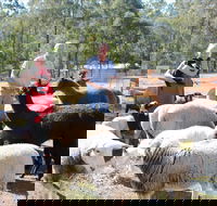 Haigslea EWE Nique Hobby Farm - Surfers Gold Coast