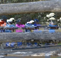 Harlow Park Horse Riding - Surfers Gold Coast