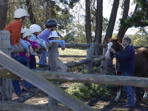 Harlow Park Horse Riding - Surfers Gold Coast 2
