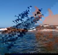 Hillocks Drive - Surfers Gold Coast