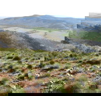 Horseshoe Rim 4WD Adventure Track - Surfers Gold Coast