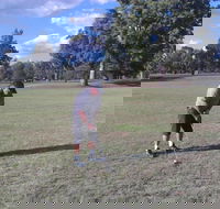 Inverell Golf Club - Surfers Gold Coast