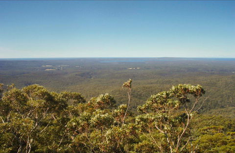Jerrawangala National Park - Surfers Gold Coast 0