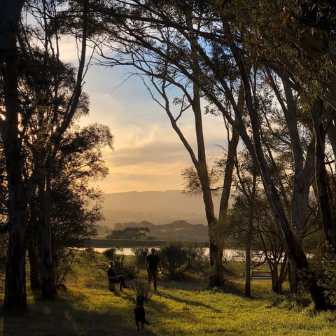 Jetty Farm - Surfers Gold Coast 0
