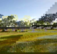 Katherine Railway Trestle Bridge - Surfers Gold Coast