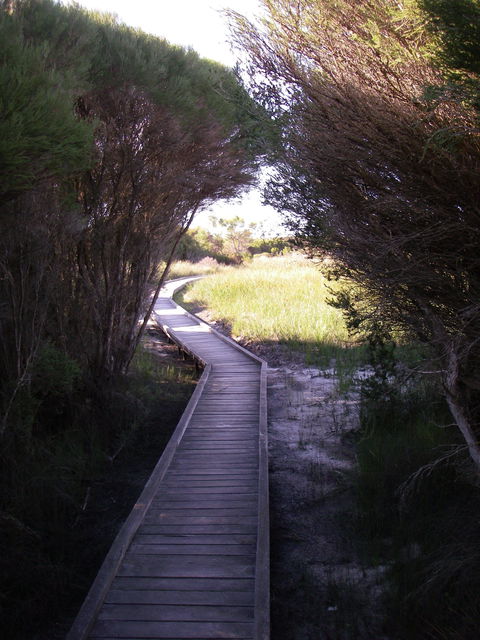 Kepwari Trails Wetland Wonderland - Surfers Gold Coast 1