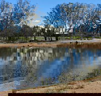 Lake King Wetlands at Rutherglen - Surfers Gold Coast
