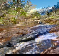 Little Dandahra Creek Walking Track - Surfers Gold Coast