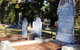 Lucindale Cemetery - thumb 0
