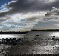 Marine Parade Hastings Foreshore Reserve Circuit Walk - Surfers Gold Coast