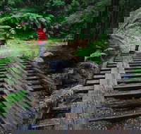 Montezuma Falls - Surfers Gold Coast