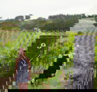 Naturally Luxurious - Great Beach Drive - Surfers Gold Coast