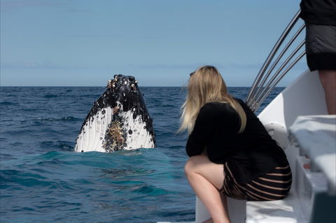 Naturally Luxurious - Great Beach Drive - Surfers Gold Coast 2