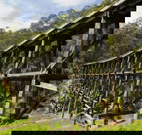 Noojee Trestle Bridge - Surfers Gold Coast