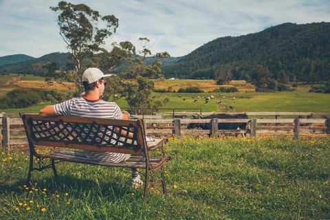 North - North East - Surfers Gold Coast 0