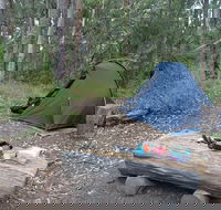Northbrook Mountain Bush Camp - Surfers Gold Coast