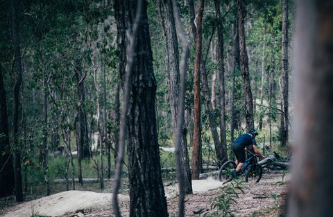 Old Tambo Downhill Mountain Bike Track - Surfers Gold Coast 0
