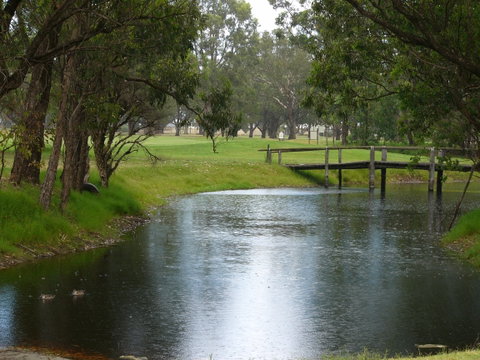 Pinjarra Golf Club - Surfers Gold Coast 2