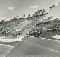 Rockhampton Bull Statues - Surfers Gold Coast