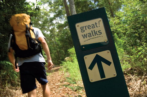 Sunshine Coast Hinterland Great Walk - Surfers Gold Coast 0