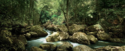 Sunshine Coast Hinterland Great Walk - Surfers Gold Coast 1
