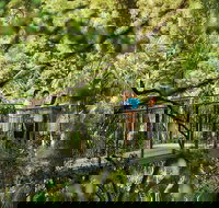 Tamborine Mountain - Surfers Gold Coast