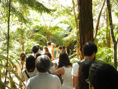 Tamborine Mountain Glow Worm Tours - Surfers Gold Coast 1