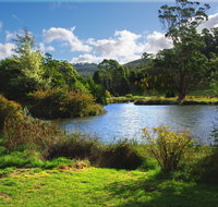 Tasmanian Arboretum Inc. - The - Surfers Gold Coast