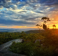 Tenterfield - Surfers Gold Coast