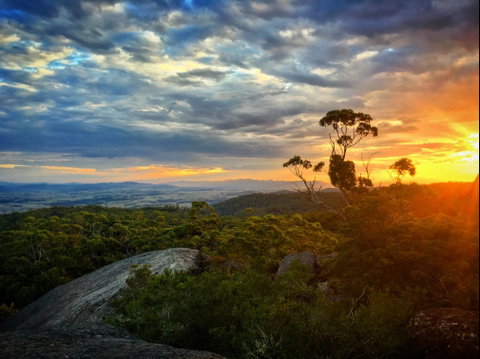 Tenterfield - Surfers Gold Coast 0