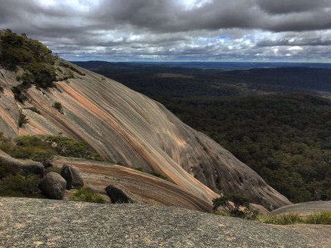 Tenterfield - Surfers Gold Coast 1