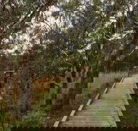The Briars Park Walking Trails - Surfers Gold Coast