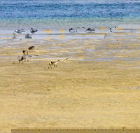 Towra Beach - Surfers Gold Coast