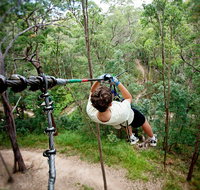 TreeTop Challenge - Surfers Gold Coast