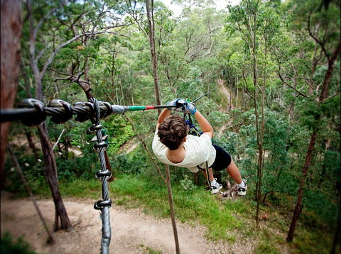 TreeTop Challenge - Surfers Gold Coast 0
