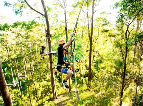 TreeTop Challenge - Surfers Gold Coast 1