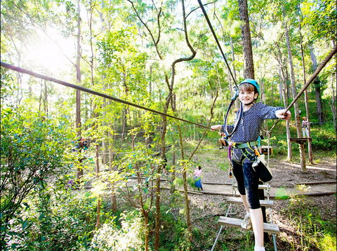 TreeTop Challenge - Surfers Gold Coast 2