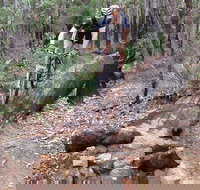 Turner Hill Mountain Bike Trail Murray - Surfers Gold Coast