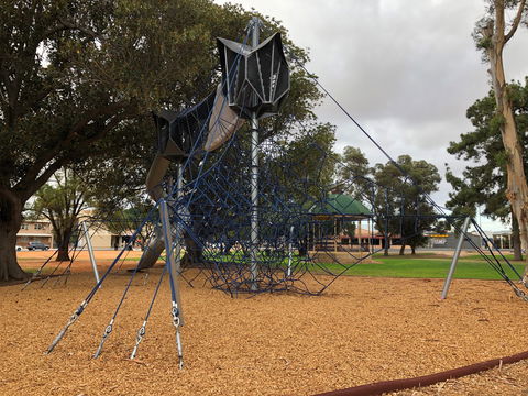 Walk In The Trees, Kadina - Surfers Gold Coast 1
