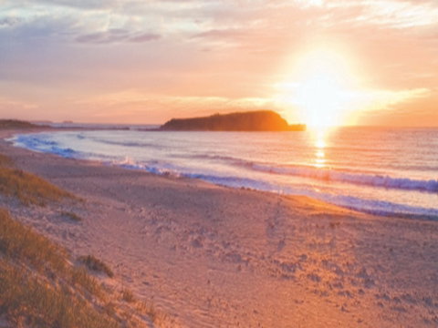 Warilla Beach: Shellharbour - Surfers Gold Coast 0