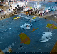 Wodonga Sports and Leisure Centre - Surfers Gold Coast